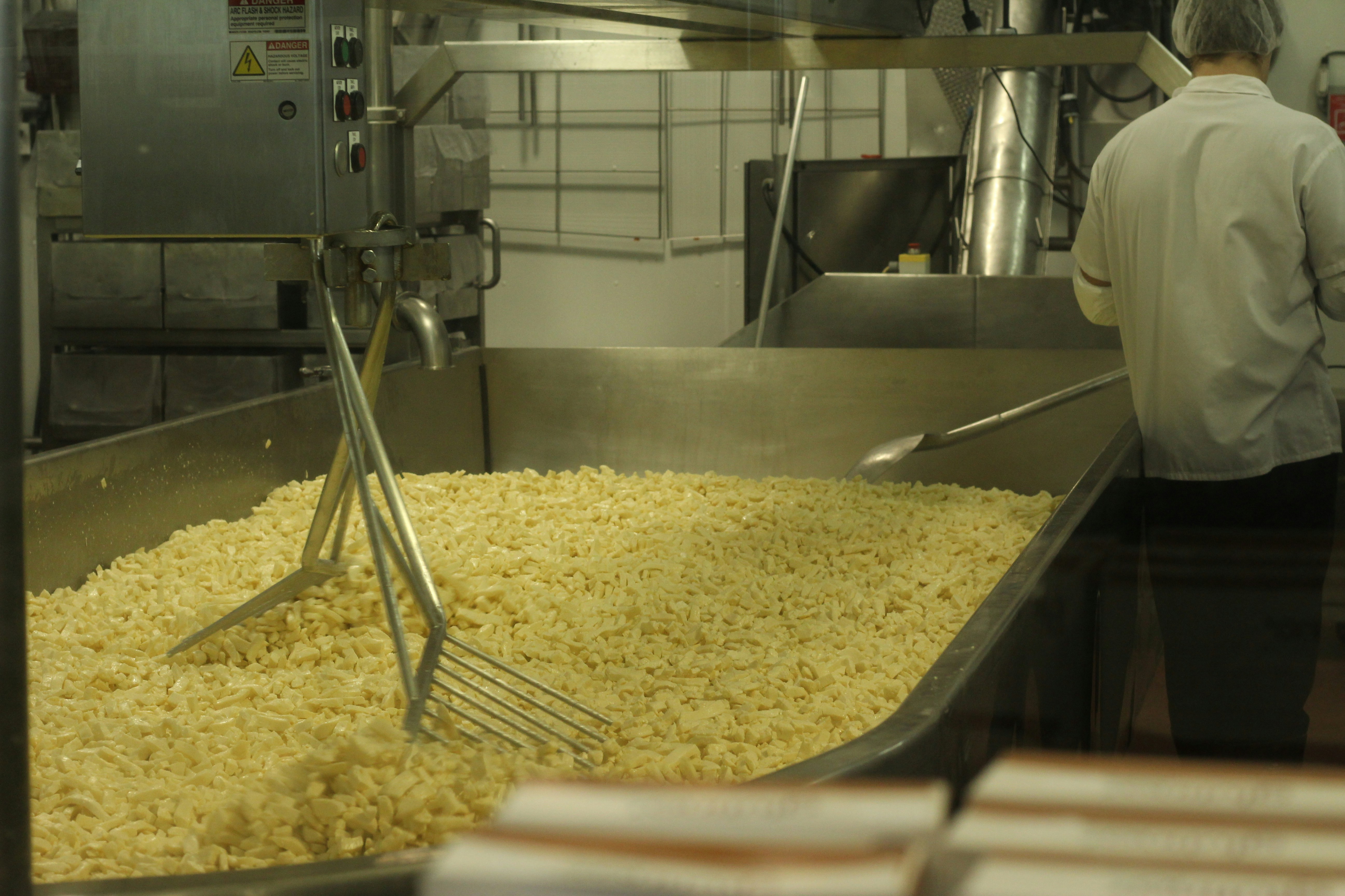 Food Processing